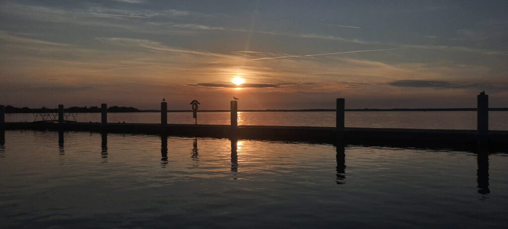 IMG-20240803-WA0021