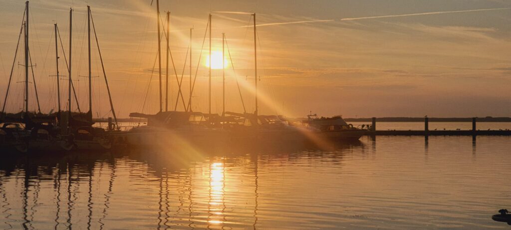 IMG-20240803-WA0023